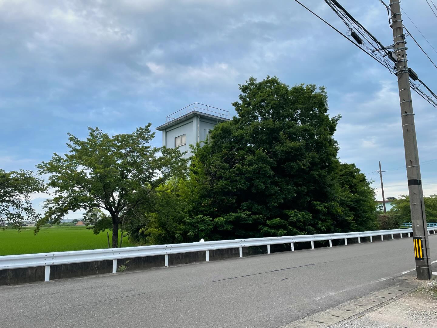 岐阜県大垣市にて、樹木の伐採とRC解体をさせて頂きました🌳🏗...